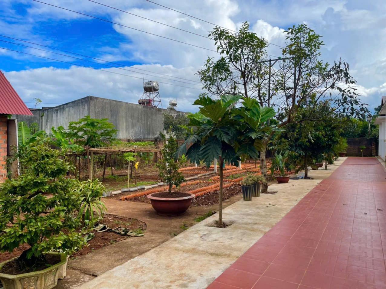 Thu Hiền Hotel Plei Holang Ngoại thất bức ảnh
